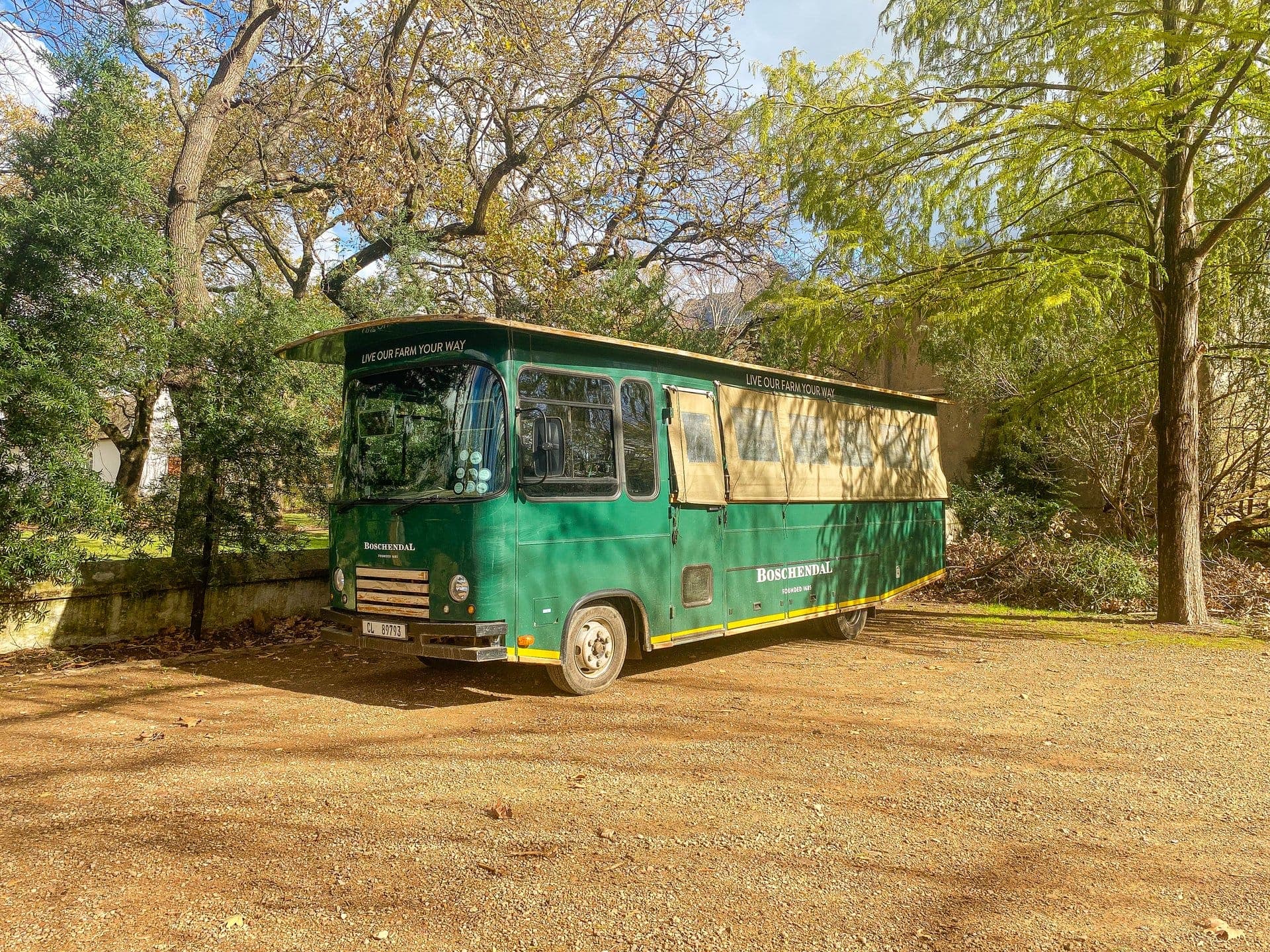 Table Mountain Fast Track + Cape Point + Wine Tasting — 5