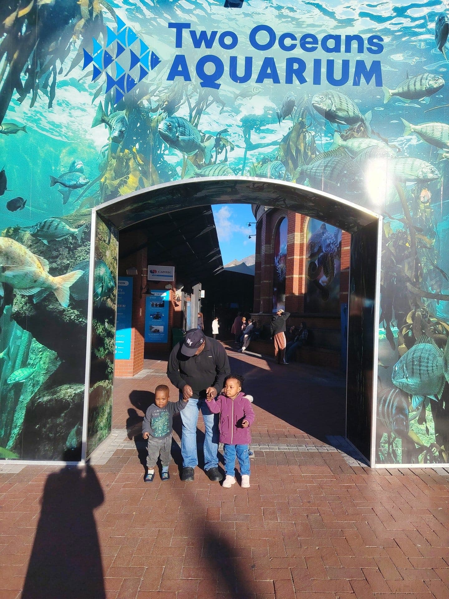 Table Mountain Fast Track + Two Oceans Aquarium — 6