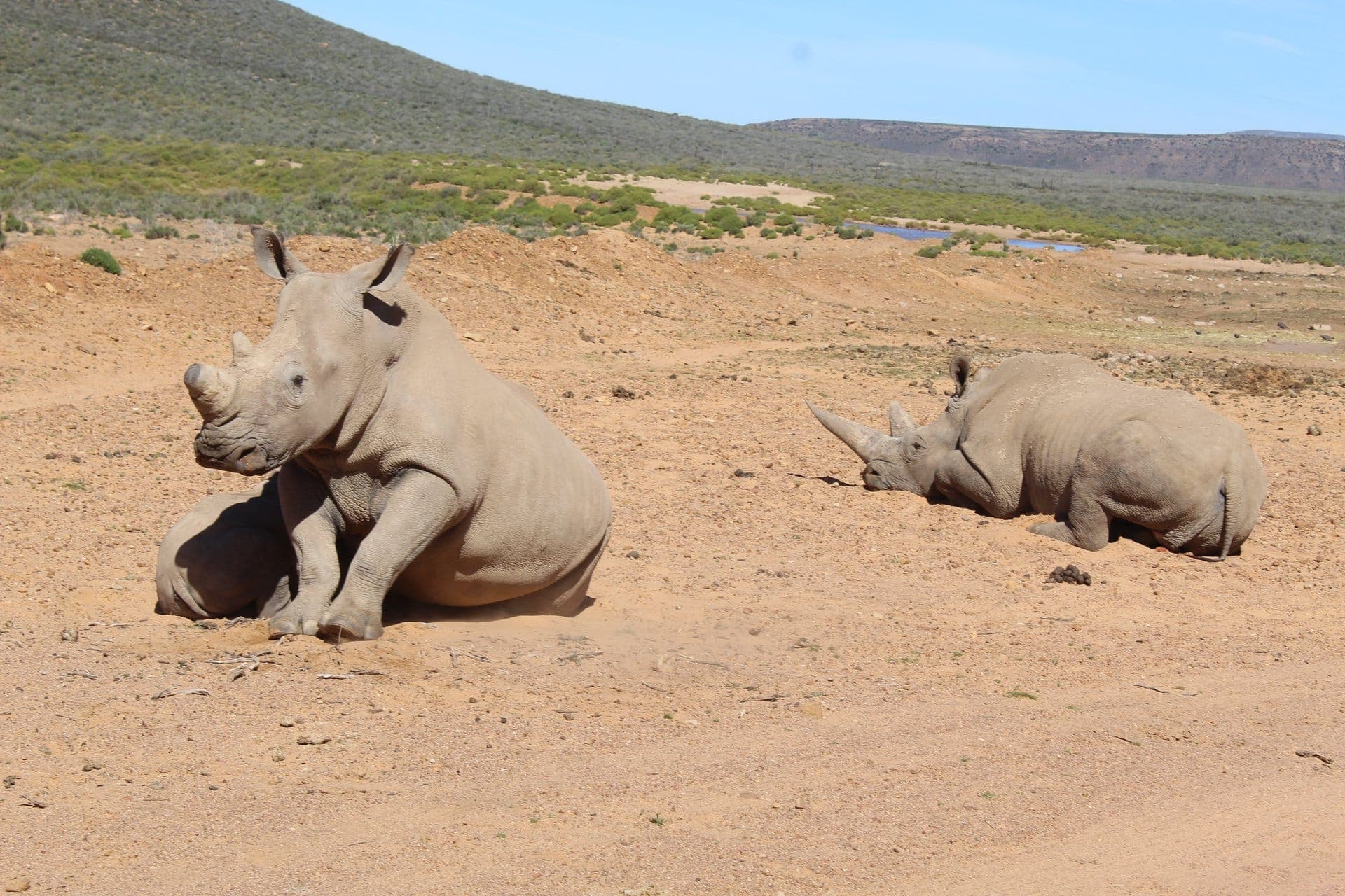 Table Mountain Fast Track + Quad Bike Safari — 12