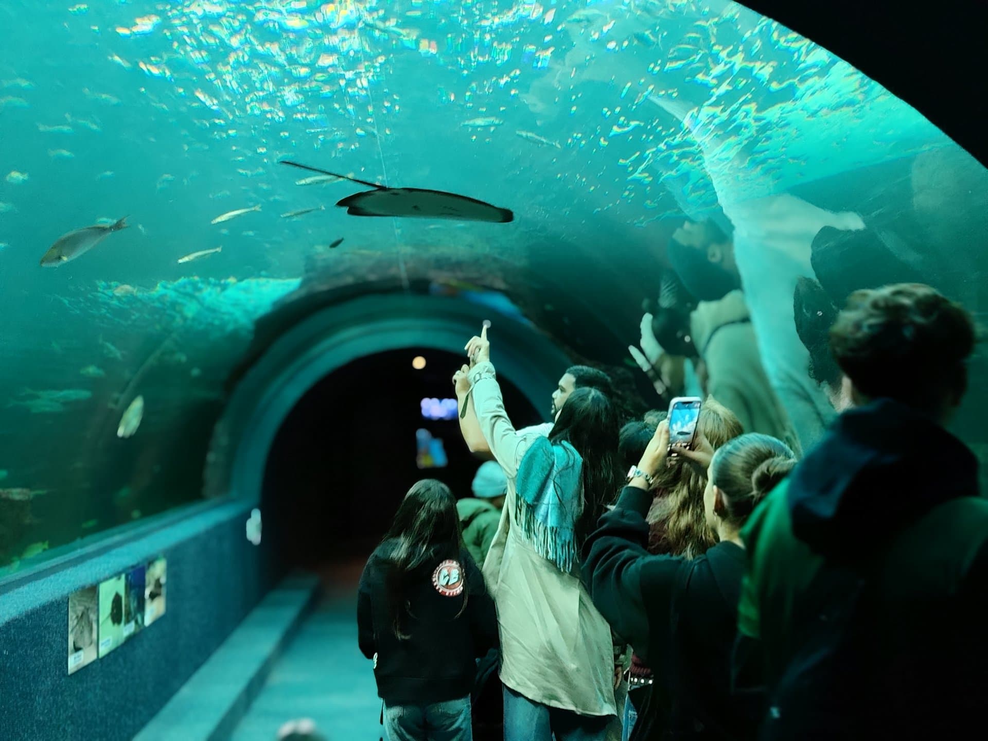 Table Mountain Fast Track + Two Oceans Aquarium — 4