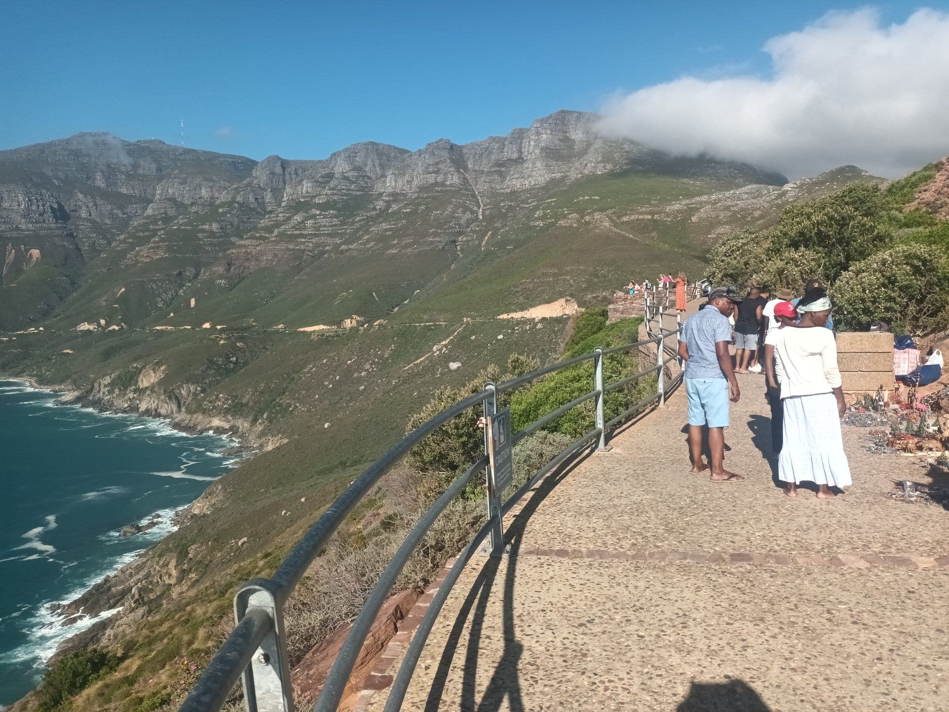 Table Mountain Fast Track + Cape Peninsula Premium Tour — 2