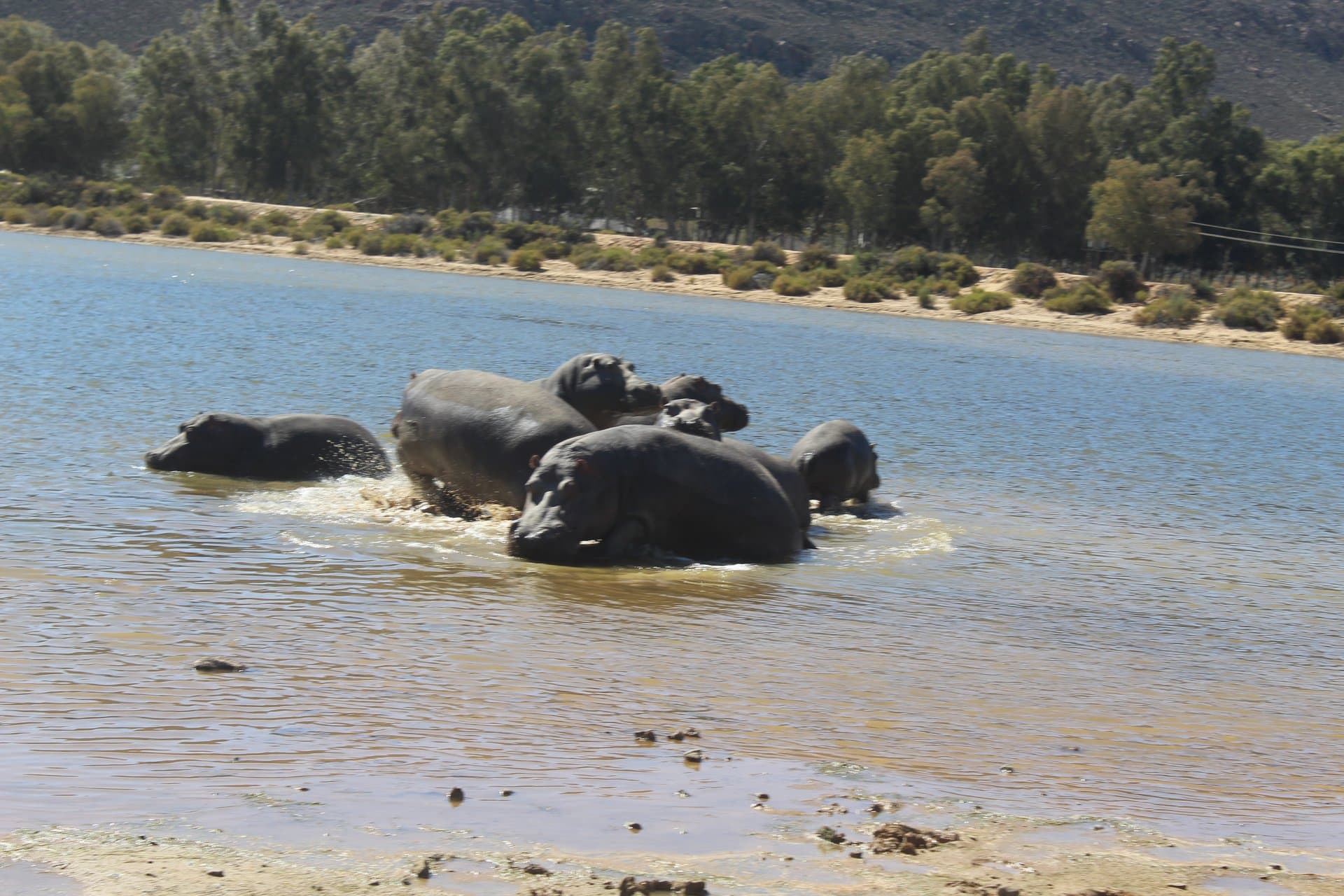 Table Mountain Fast Track + Quad Bike Safari — 3