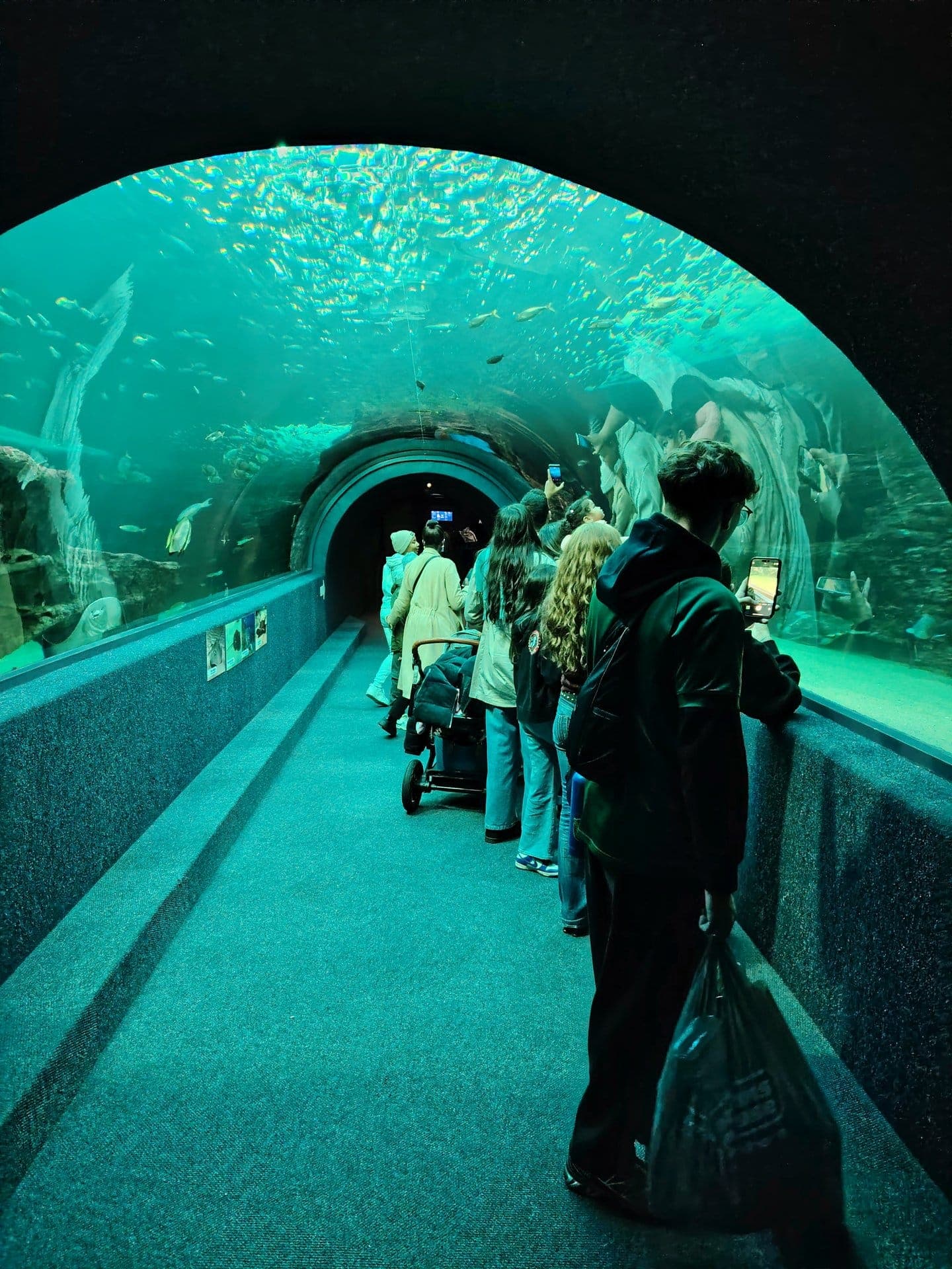 Table Mountain Fast Track + Two Oceans Aquarium — 3