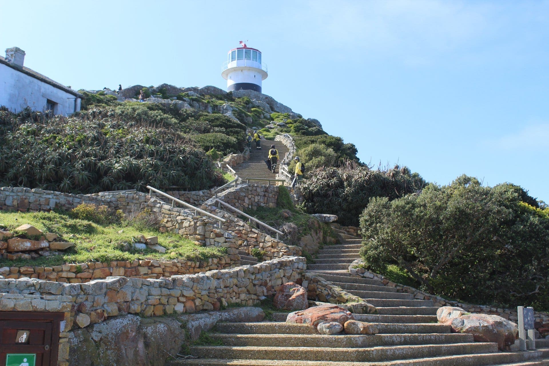 Table Mountain Fast Track + Cape Peninsula Premium Tour — 10