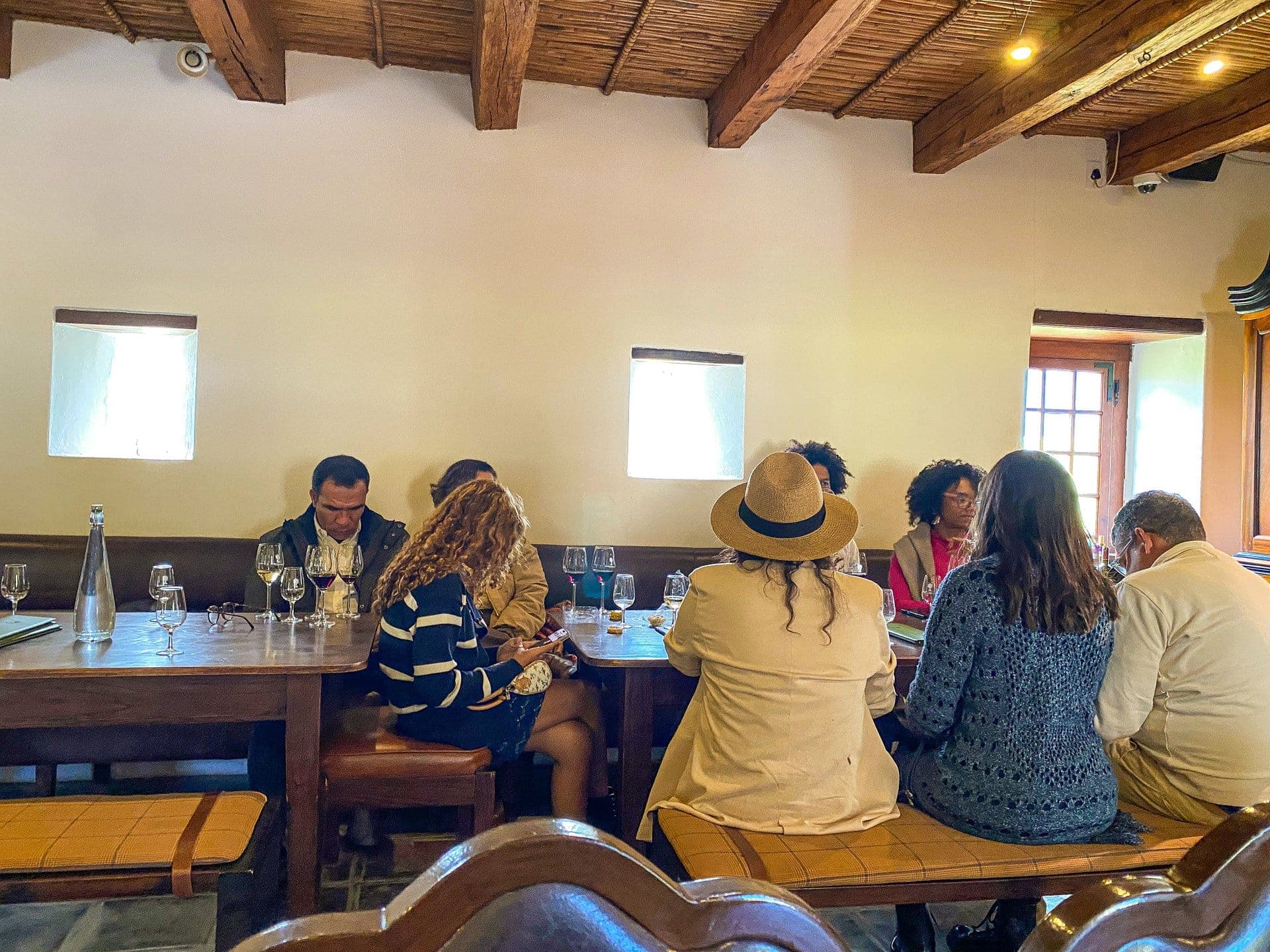 Table Mountain Fast Track + Cape Point + Wine Tasting — 3