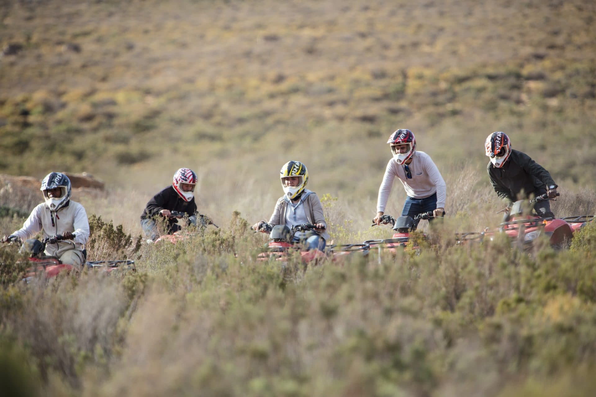 Table Mountain Fast Track + Quad Bike Safari — 9