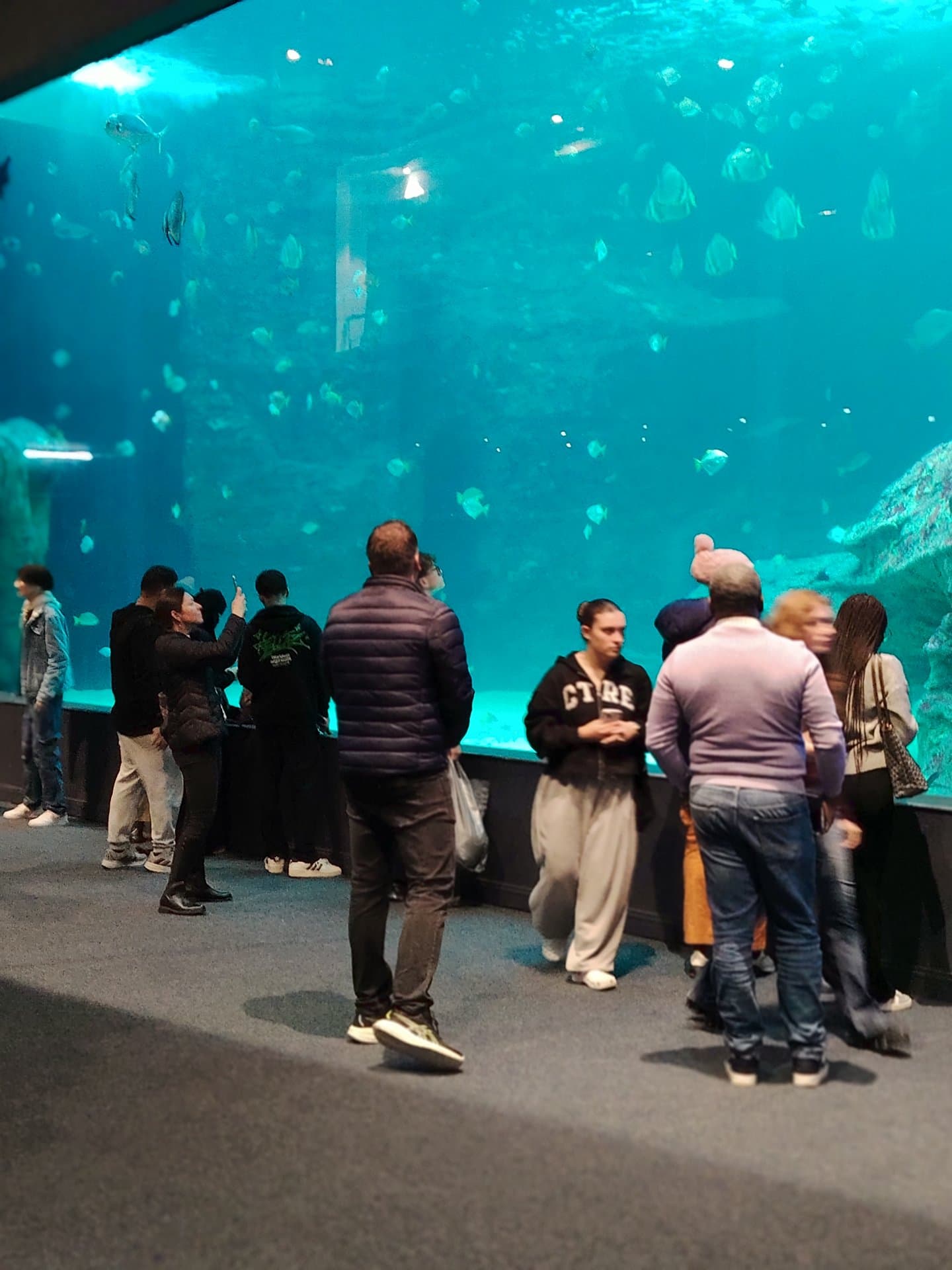 Table Mountain Fast Track + Two Oceans Aquarium — 2