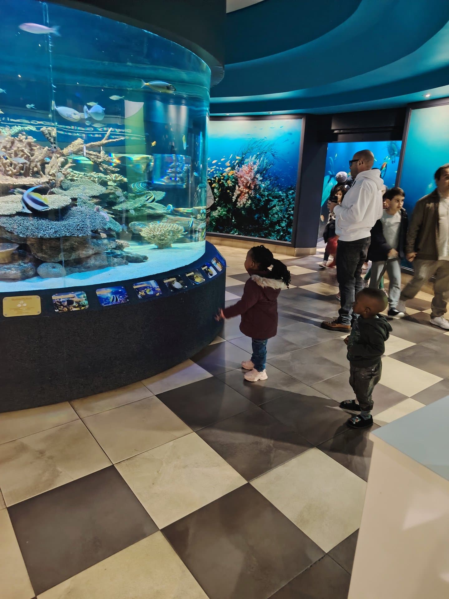 Table Mountain Fast Track + Two Oceans Aquarium — 7
